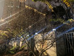 -浙江省杭州高级中学(贡院校区)