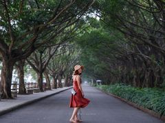 -大湾区中央湿地公园