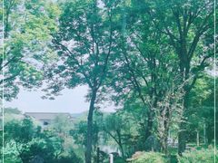 -西湖国宾馆·紫薇厅