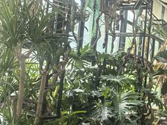 -北马山庄植趣咖啡