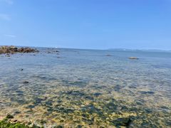 -清水湾旅游度假区