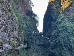 -江西龙虎山景区