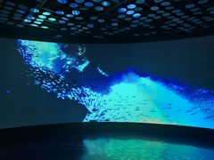 -同济大学四平路校区深海探索馆
