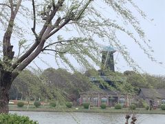 -上海鲜花港