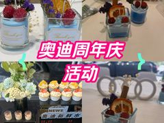 -上海冠松华奥奥迪4S店(张江店)