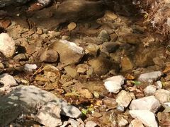 -宁波五龙潭景区