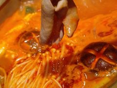 -小龙坎火锅(双林店)
