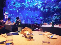 -迪拜帆船酒店海底餐厅