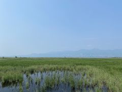-野鸭湖国家湿地公园