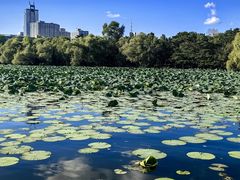 -长春市南湖公园