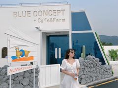 -Blue Concept Cafe&Farm·關於藍