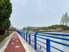-高东镇樱花园