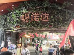 -呀诺达热带雨林