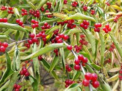 -永定河休闲森林公园