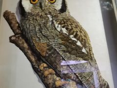 -陕西自然博物馆