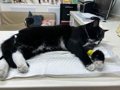-宠颐生中康贝怡动物医院
