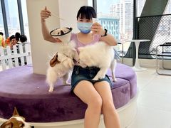 -怪兽屋·羊驼·猫咖·狗咖(俊华广场店)