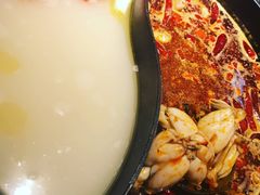-销魂美蛙鱼头火锅(上海首店)