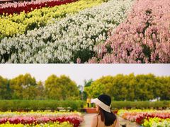 -广东花都香草世界旅游度假区