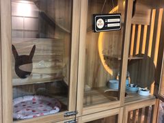 -白兔子密室(长寿路店)