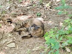 -终南山南五台景区