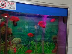 -雅悦齿科(顾村公园店)