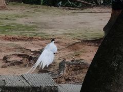 -青芝山风景名胜区