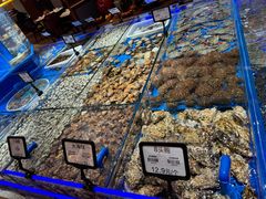 -鲜得莱渔港·小平岛海胆馆(七贤岭店)