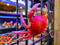 -胖哥俩肉蟹煲(万国店)
