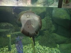 -苏州海洋馆