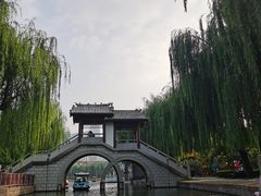 -团结湖公园
