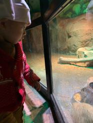 -酷嗒动物文化乐园(cutezoo西溪乐天城店)