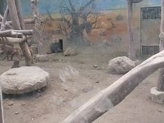-成都动物园