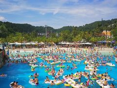 -重庆海昌加勒比海水世界