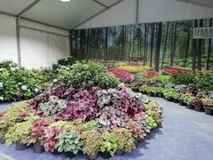 -深圳仙湖植物园