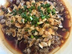 -华盛丰温州大排档(东三环南路店)