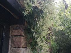 -竹泉村旅游度假区