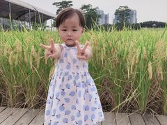 -迪茵湖田家舍生态农场