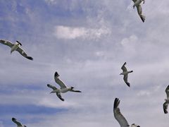 -海驴岛(荣成市)