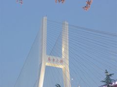 -龙美术馆(西岸馆)
