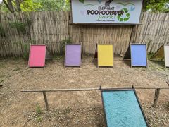 -大象粑粑造纸公园