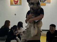 -Husky Go! 哈士奇体验馆·宠物咖啡厅狗咖