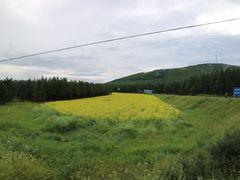 -塞罕坝国家级自然保护区