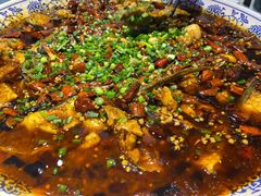 -新概念来凤鱼(璧山店)