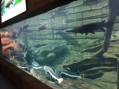 -梦幻海洋王国(吾悦广场张家港店)