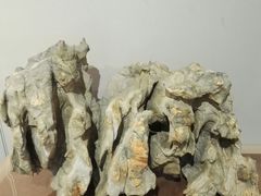 -徐汇艺术馆