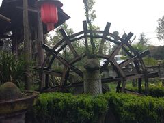 -青城甲(青城山店)