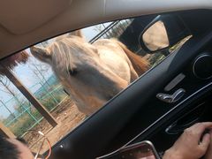 -南京金牛湖风景区