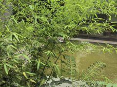 -竹雨堂创意中国菜(裕华店)