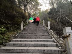 -北京凤凰岭